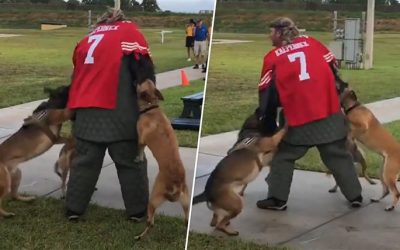 Navy to thoroughly investigate man dressed in Colin Kaepernick jersey for K-9 demonstration