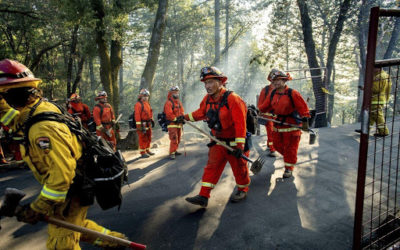 California governor signs bill to help former inmates become firefighters