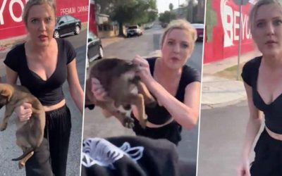 White woman throws dog at Black man in freakish argument on the street