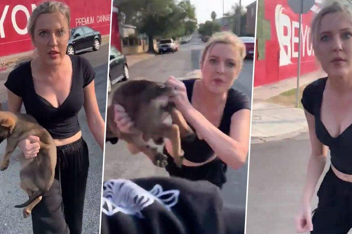 White woman throws dog at Black man in freakish argument on the street